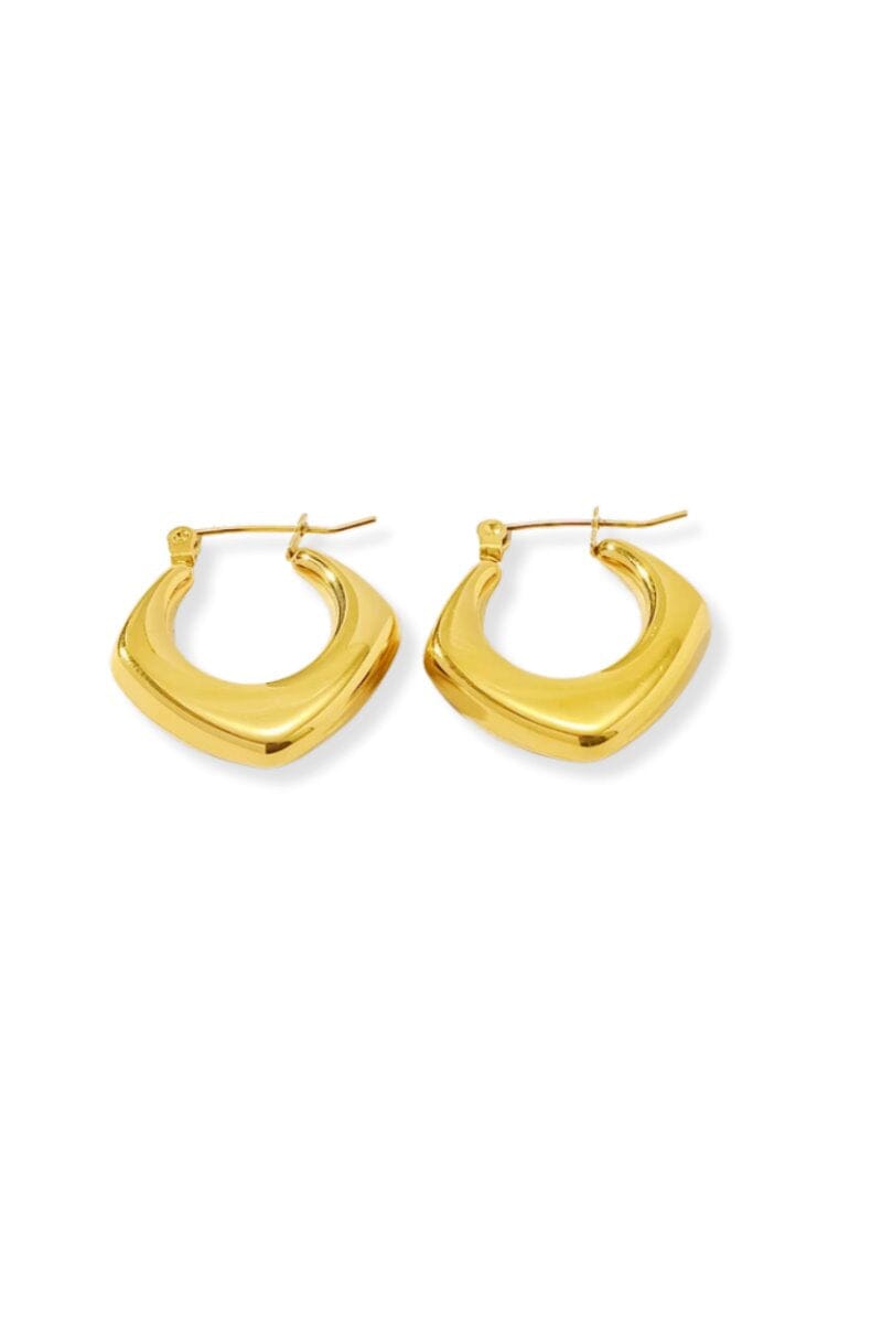 DUSTY EARRING Jewellery F&D